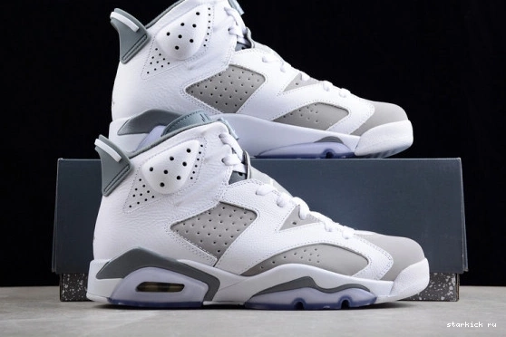 CT8529-100 Grey Cool CT8529-100 Jordan Retro 6 0309